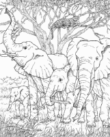 A coloring page of nature in africa